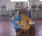 Beer keg washing & filling machine