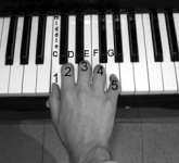 Belajar Piano / Keyboard Online 7 Hari! Ebook Laris!