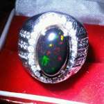 Opal Kalimaya Kopi Banten 15 x 10 x 4 mm