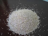 Quinoa Organic Sweet White Chenopodium quinoa willd