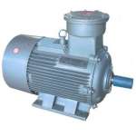 Electric Motor YB2 Series Explosion-Proof Three Phase Induction Motor