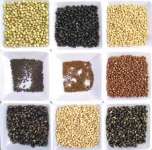 DIJUAL Cotton Seeds,  Faba Beans,  Wheat,  Lentils,  Chickpeas,  Channa Dhal,  Oats,  Barley,  Grains,  Animal feed etc