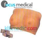 INSPECTION AND PALPATION OF BREAST CANCER TRAINING MODEL