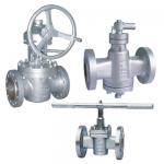 Entry Plug Valve