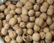 Pellicular Walnuts