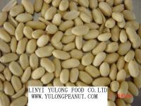 blanched peanut kernels