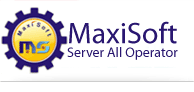 MaxiSoft Enterprises