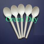 100% biodegradable products-tea spoon