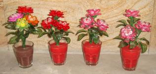 Bunga Rose / mawar aneka warna