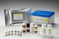 Nitrofurazone ( SEM) ELISA Diagnostic Kit