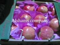We offer fresh pomegranate with high quality