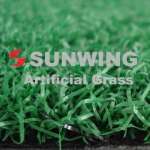 Artificial Grass / Turf