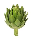 Artichoke Extract: Cynarins2.5% 5% ,  UV,  own factory