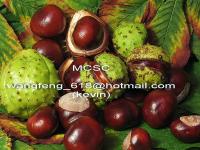 Horse Chestnut Extract ( Aescin/ Aescigenin)