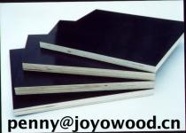 sell:film faced plywood(penny(at)joywood(dot)cn