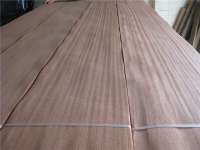 sapele veneer