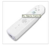 Wii Remote Control