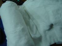 absorbent cotton wool