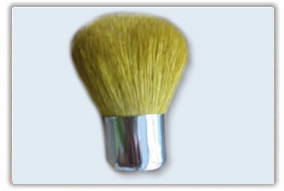 Makeup Brush