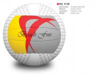Aster Volley Ball