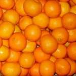 Fresh Mandarin/ Orange/ Kinnow