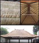 Ilalang / Alang-alang Bali / Thatch roof