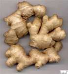 Ginger Root P.E.;Ginger Root extract;Ginger Root ;gingerols