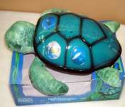Twilight Sea Turtle