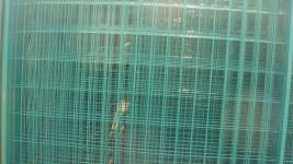 good welded wire mesh panel