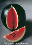 Water Melon Seeds