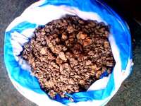 voacanga dry seeds for sale