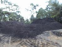 BATUBARA - COAL & COAL LAND FOR SALE !