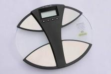 bodyfat scale