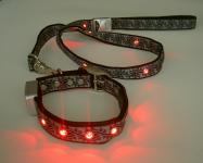 Flashing pet collar & leash