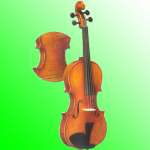 Violin,  Cello,  Double Bass,  Electric Violin,  Electric Cello,  Electric Double Bass