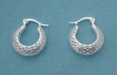 Tiffany & earring