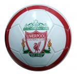 Printed Soccer Ball(Football)