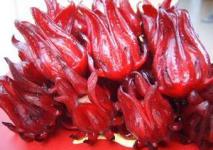 Hibiscus extract (rossonl@huacheng-biotech.com)