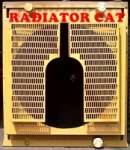 Radiator CAT
