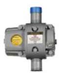 Romet Rotary Gas Meter G16