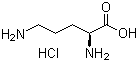 L-Ornithine HCl