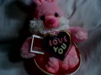 Rabbit Choco Gift Valentine (1)