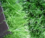 synthetic grass For Garden and sports