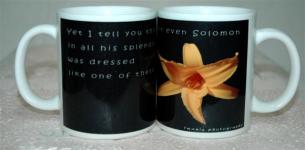 28. Mug Solomon