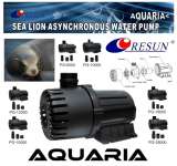 RESUN Sea Lion Asynchronous Water Pump series