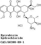 Epirubicin hydrochloride ( CAS: 56390-09-1)