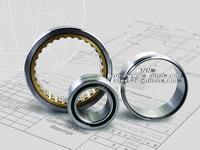 Double row cylindrical roller bearings