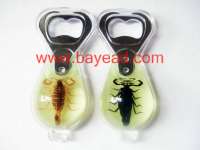 Supply Real Insect Amber Bottle Opener,  promotion gift,  souvenir gift,  tourist souvenir,  China gift manufacturer