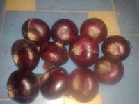 We offer fresh red onion with high quality