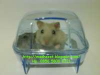 A 027-TOILET HAMSTER MINI